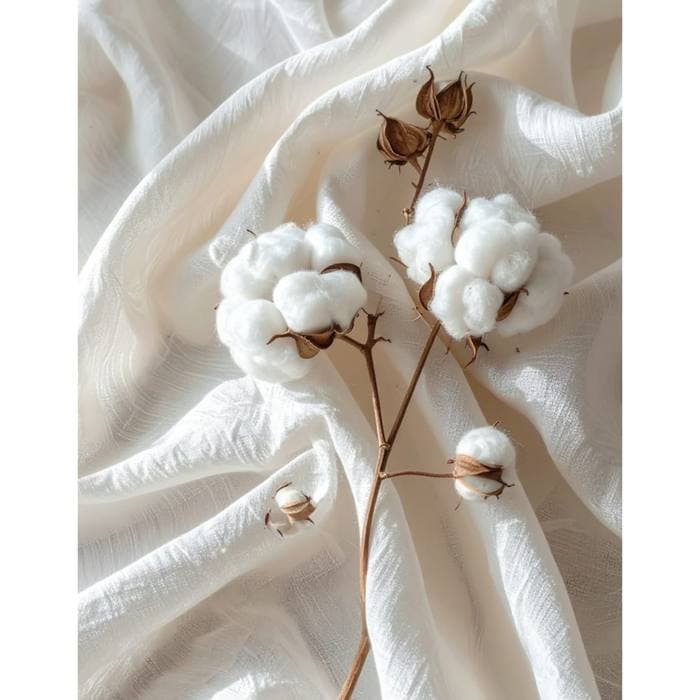 Cotton Classics
